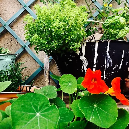 Campo De' Fiori Apartment *